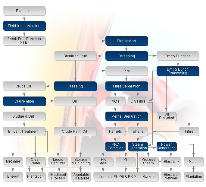 Ligne de production d’huilerie de palme flow chart