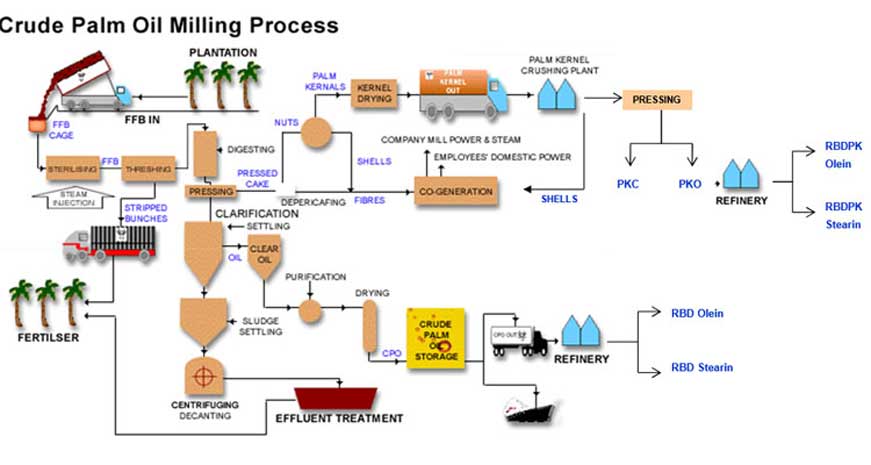 Usine de transformation d’huile de palme flow chart