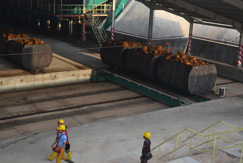 Usine de transformation d'huile de palme
