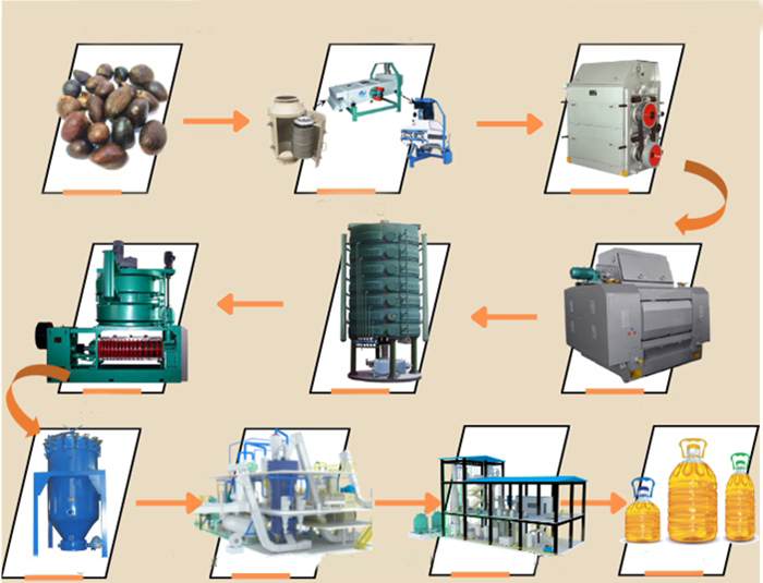 Créer une usine de transformation d’huile de palmiste