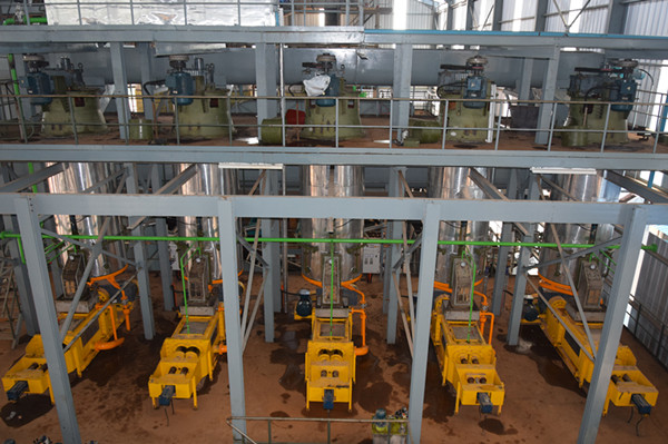 Coûts d’installation d’une usine de production d’huile de palme au Côte d’Ivoire