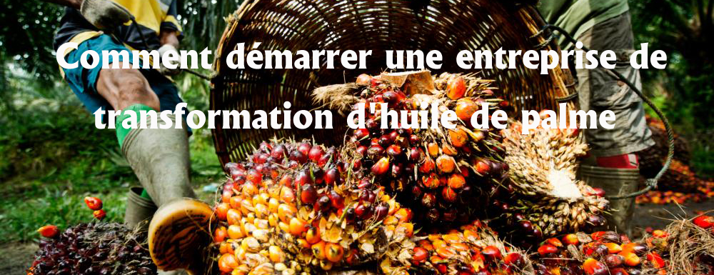Comment démarrer une entreprise de transformation d’huile de palme