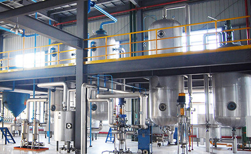 palm oil refinery plant